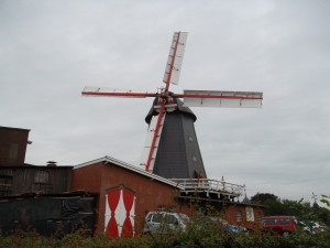 SAM_0788