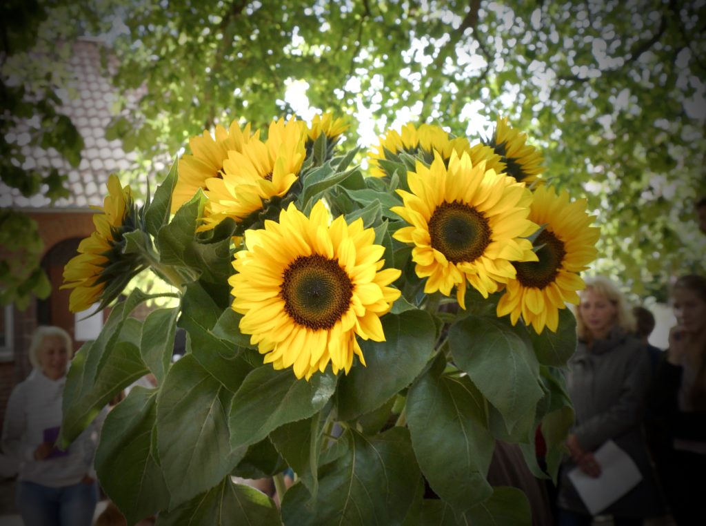 Sommerfest, Sonnenblume